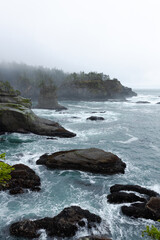 Hobuck in Washigton State