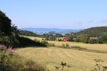 mountain bike on the road