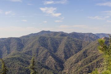 Mountain landscape with blue sky in the background. View of mountains with pine forest