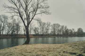 Early spring on the river, the ice and snow have already melted, but the trees growing on the shore still without leaves are bare, light fog and cloudy, a landscape with a pensive atmosphere