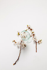 Branch with flowers in spring, blossoming tree branch and glass