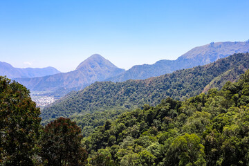 Green trees of rainforest, mountain and ble sky an healthy ecosystem concept and nature background