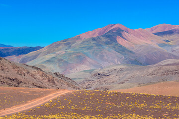 Naklejka premium Paisaje montañoso colorido y desértico - Camino a Laguna Brava - La Rioja - Argentina 