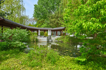 Idyllic Chinese garden with pond and terrace, on the outskirts of Berlin.