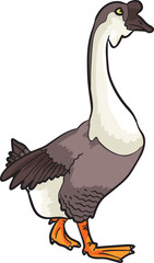 Goose Wild Animal Vector Illustration
