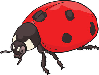 Ladybug Insect Wild Animal Vector Illustration