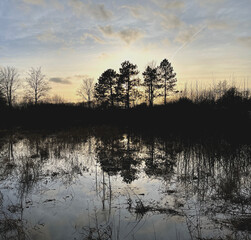 Fototapeta premium Wintersonne an der Treene