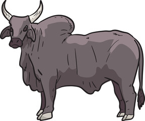 Zebu Bull Wild Animal Vector Illustration