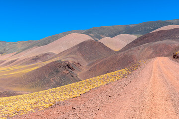 Paisaje montañoso colorido con carretera - Camino a Laguna Brava - La Rioja - Argentina