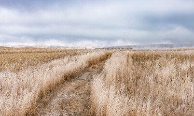 walking path in South Dakota