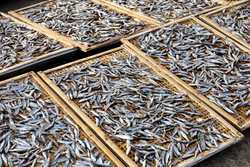 salted fish production, the process of drying small fish or anchovies and drying fish at fishing...