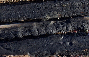 Texture of charred boards, black coal, close-up