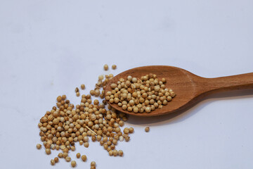 Dried coriander seeds in wooden scoop on white background