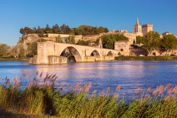 Fototapeten Famous medieval Saint Benezet bridge and Palace of the Popes during gold hour, Avignon, France © Kavalenkava