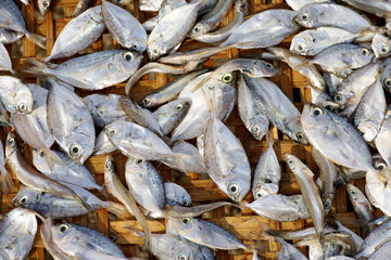 Fish dry in the sun in a harbor, Hong Kong, China.