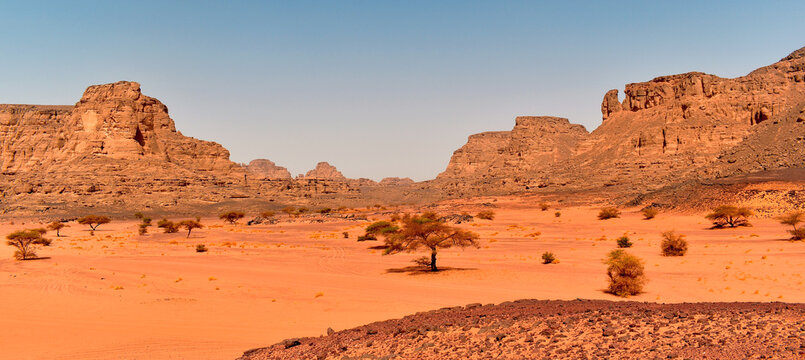 Rock formations in Tadrart Rouge, Tassili N'Ajjer National Park. Sahara desert, orange sand and rocks, desert trees. Holidays and travel in Algeria. Sahara, Algeria, Africa.