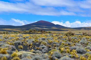 Colorido paisaje desértico volcánico - La Payunia - Argentina