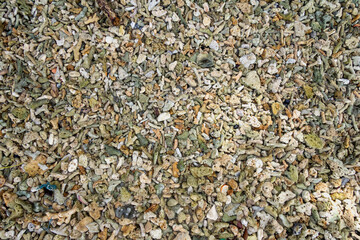 Coral on beach Texture