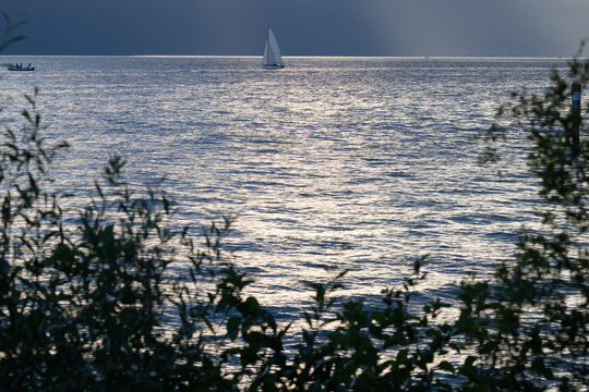 Seegelboot im Abendlicht, Bodensee