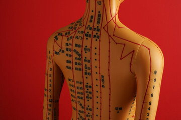 Acupuncture - alternative medicine. Human model with dots and lines on red background