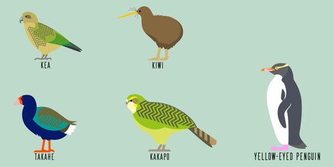 ニュージーランドの鳥5種のベクターイラスト