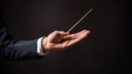 Symphony of Mastery: Captivating Conductor's Hands Lead Orchestra in Harmonious Concert