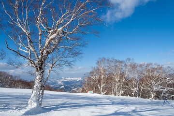 冬山の山頂からの眺め