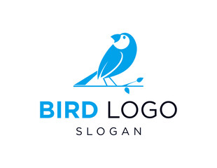 The logo design is about Bird and was created using the Corel Draw 2018 application with a white background.