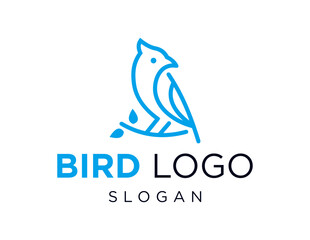 The logo design is about Bird and was created using the Corel Draw 2018 application with a white background.