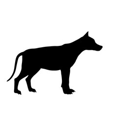 wolf black silhouette