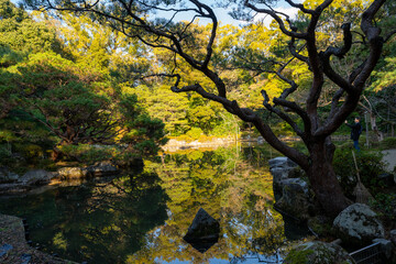京都　平安神宮の風景