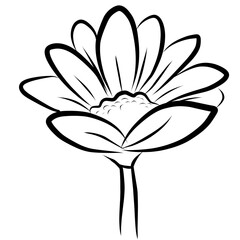 Bunga Daisy dalam gaya menggambar seni garis berkelanjutan. Seni menggambar satu garis Chamomile. Sketsa linier hitam minimalis. Ilustrasi vektor