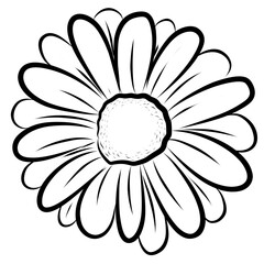 Bunga Daisy dalam gaya menggambar seni garis berkelanjutan. Seni menggambar satu garis Chamomile. Sketsa linier hitam minimalis. Ilustrasi vektor