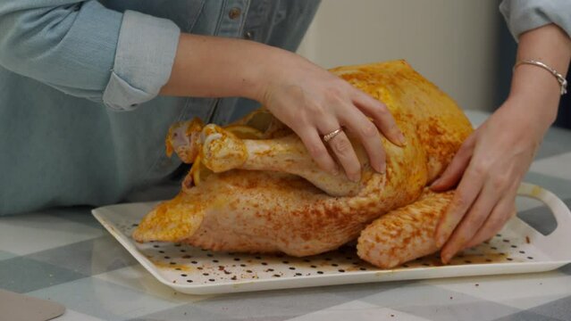 woman cooking roasted stuffed turkey in kitchen, thanksgiving and christmas holiday dinner