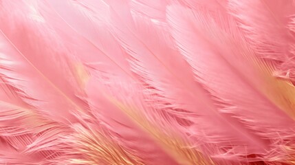 Obraz premium a close up image of a pink feather, valnetine concept.