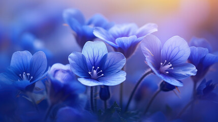 Vibrant blue anemone flowers blooming, creating a mesmerizing and colorful floral display.