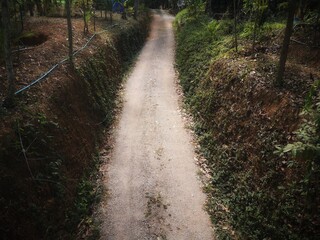 thoroughfares, walkways, ground driveways, ground walkways in the park.