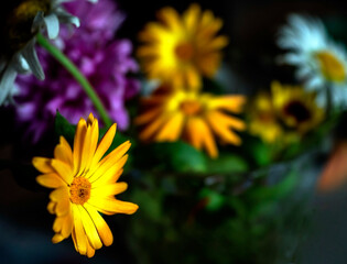 beautiful multicolored bouquet of calendula and asters