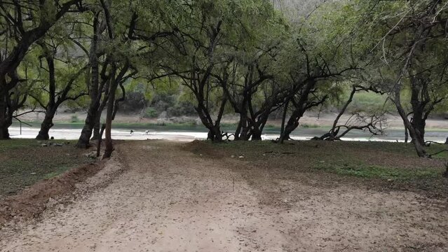 Magnificent landscape in the forest park of Wadi Darbat in Salalah, Oman