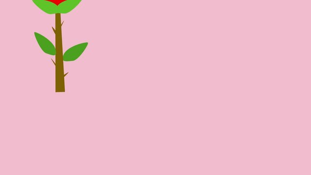 Valentine's Day animated background illustration with a red rose animation