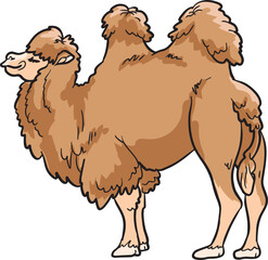 Camel Mammals Wild Animal Vector Illustration