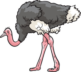 Ostrich Bird Wild Animal Vector Illustration