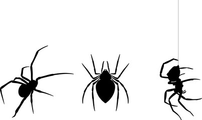 Spider Vector Silhouette Illustration Graphic