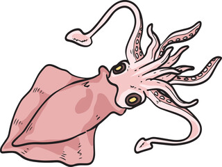 Squid Sea Wild Animal Vector Illustration