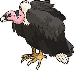 Vulture Bird Wild Animal Vector Illustration
