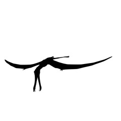 dinosaur Anhanguera silhouette set