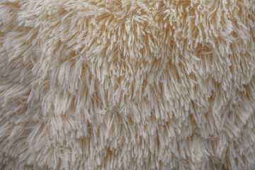 fur texture close-up view, fur pattern