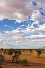 Fototapeta premium Arid Kalahari Landscape with clouds, near Gharagab in the Kgalagadi Transfrontier Park