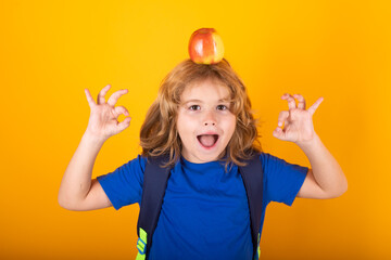 Excited funny pupil. Little student school child isolated on studio background. Portrait of nerd...