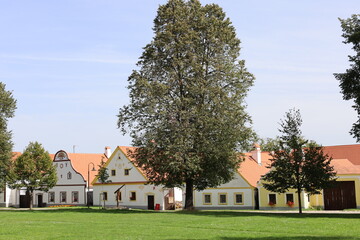 チェコ　ホラショヴィツウェ